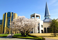 青山学院大学 社会情報学部